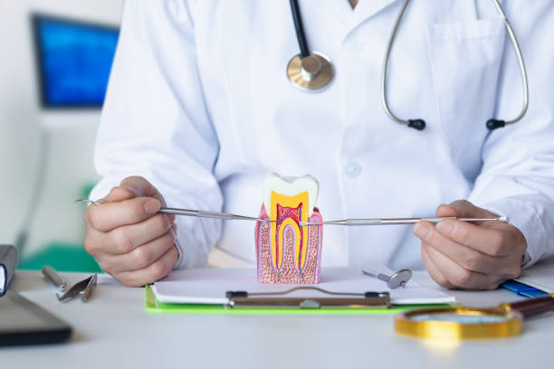 Best Emergency Dental Care for Broken or Chipped Teeth in Port Barre, LA
